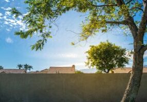 20260522 - Marc - What to do when trees or buildings encroach on your property